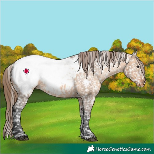 Horse Color:Bay Dun Near Fewspot 
