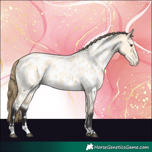 Horse Color:Buckskin Dun Near Leopard 