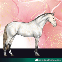 Horse Color:Buckskin Dun Near Leopard 
