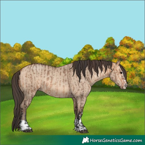 Horse Color:Bay Dun  and Amber Champagne Dun 