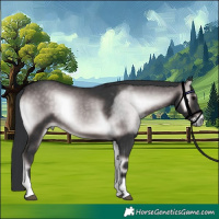 Horse Color:Platinum Brown Onyx Tobiano