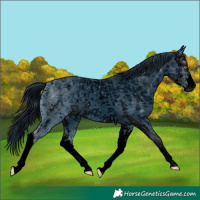 Horse Color:ERROR: UNKNOWN ANOMALY