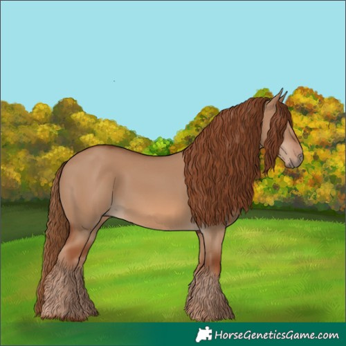 Horse Color:Red Dun 