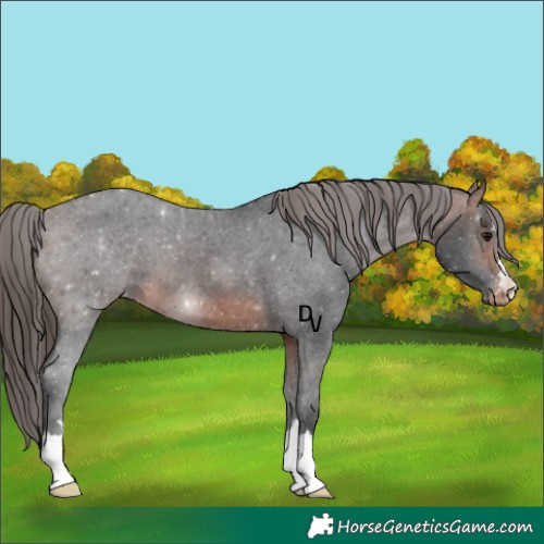 Horse Color:Brown Varnish 