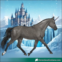 Horse Color:Grullo 