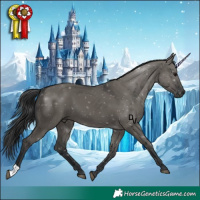 Horse Color:Grullo 