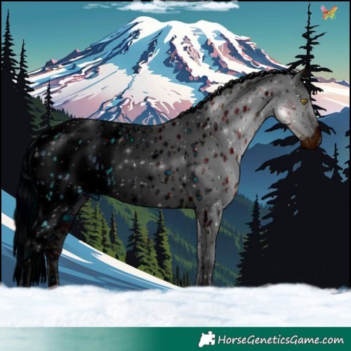 Horse Color:ERROR: UNKNOWN ANOMALY