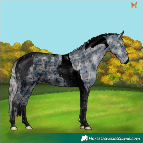 Horse Color:ERROR: UNKNOWN ANOMALY