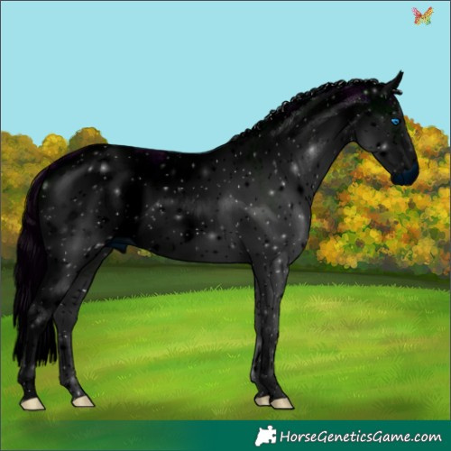 Horse Color:ERROR: UNKNOWN ANOMALY