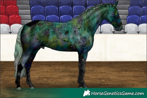 Horse Color:ERROR: UNKNOWN ANOMALY