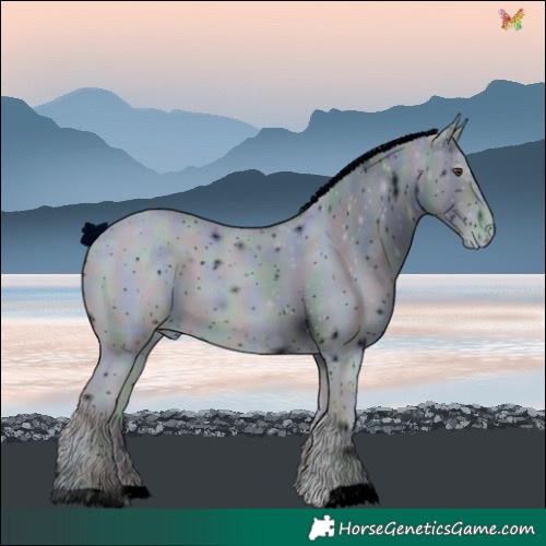 Horse Color:ERROR: UNKNOWN ANOMALY