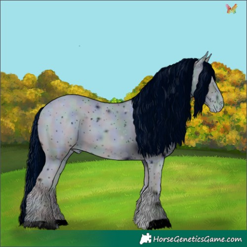 Horse Color:ERROR: UNKNOWN ANOMALY