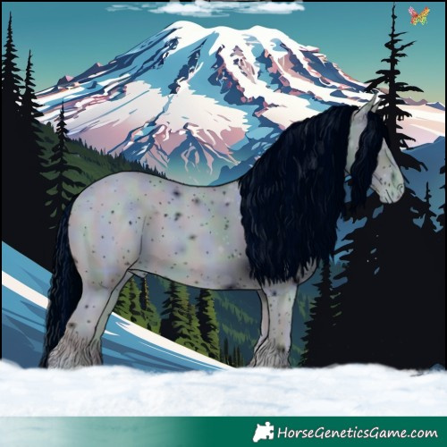 Horse Color:ERROR: UNKNOWN ANOMALY