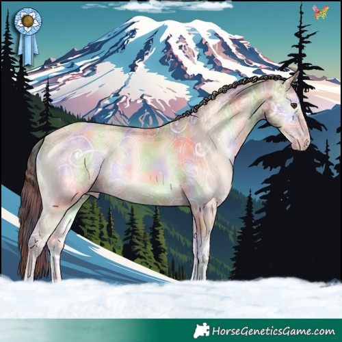 Horse Color:Nacre Amber Champagne Ice Onyx 