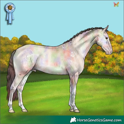 Horse Color:Nacre Amber Champagne Ice Onyx 