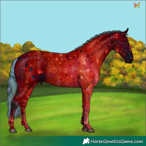 Horse Color:ERROR: UNKNOWN ANOMALY