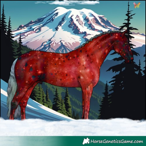 Horse Color:ERROR: UNKNOWN ANOMALY
