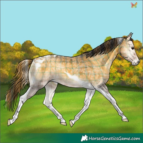 Horse Color:Plaid Buckskin Ice Onyx Tobiano