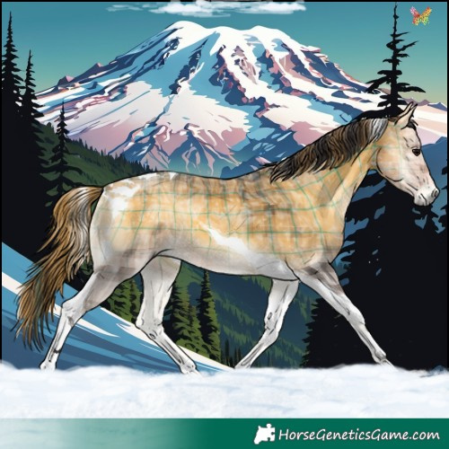 Horse Color:Plaid  Buckskin Ice Onyx Tobiano 