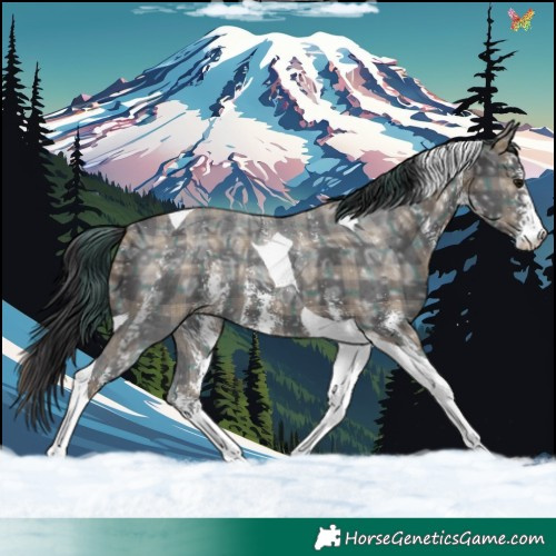 Horse Color:Plaid  Smoky Black Ice Sabino Tobiano 