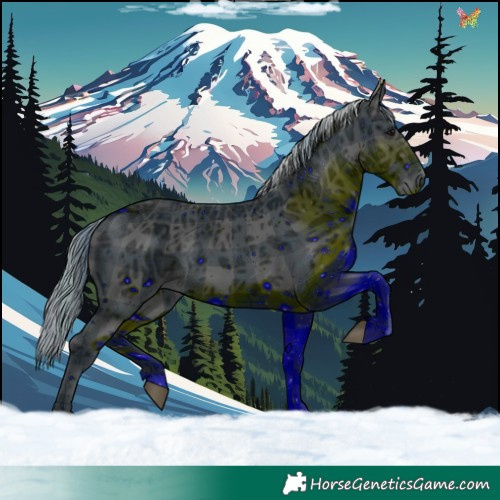 Horse Color:ERROR: UNKNOWN ANOMALY