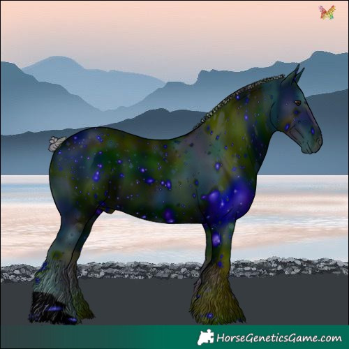 Horse Color:ERROR: UNKNOWN ANOMALY