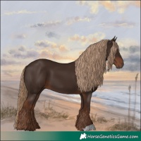 Horse Color:Liver Chestnut 