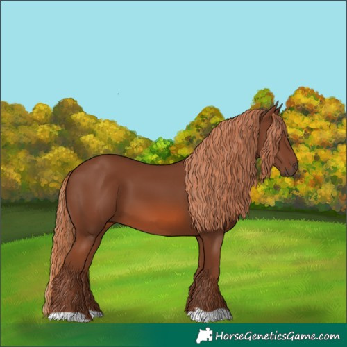 Horse Color:Chestnut 