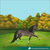 Horse Color:Brown Dun Tobiano 