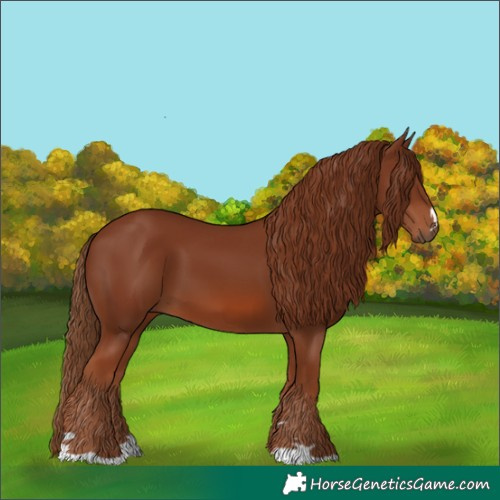Horse Color:Chestnut 