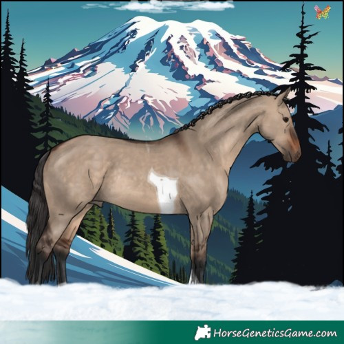 Horse Color:Brown Dun Tobiano Rabicano 