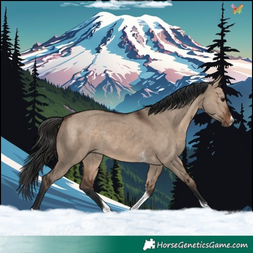 Horse Color:Brown Dun Sabino Tobiano Rabicano 