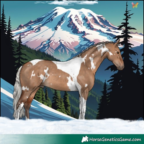 Horse Color:White Spotted Silver Brown Dun Tobiano Rabicano 