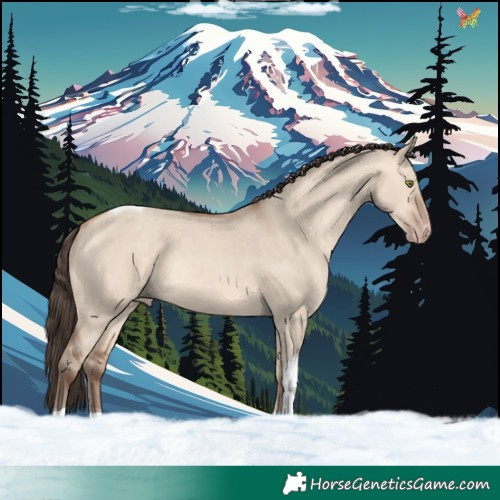 Horse Color:Amber Champagne Dun Tobiano Rabicano 