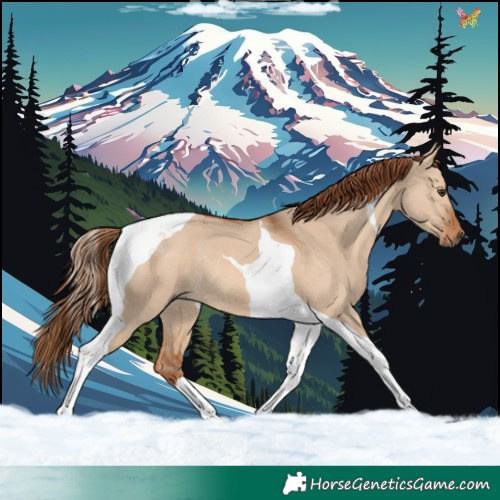 Horse Color:Red Dun Tobiano Rabicano 