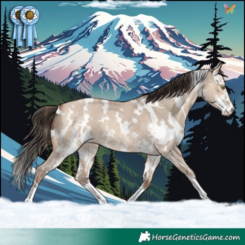 Horse Color:White Spotted Amber Champagne Dun Sabino 