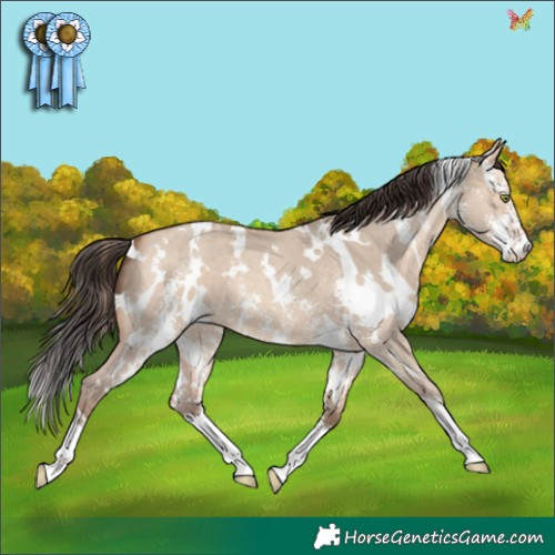 Horse Color:White Spotted Amber Champagne Dun Sabino 