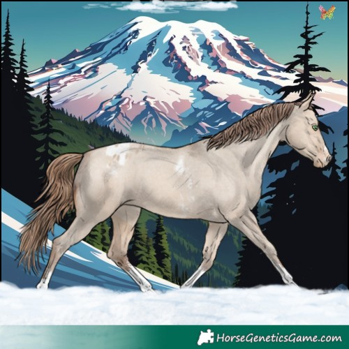 Horse Color:Amber Champagne Dun Sabino Tobiano Varnish 