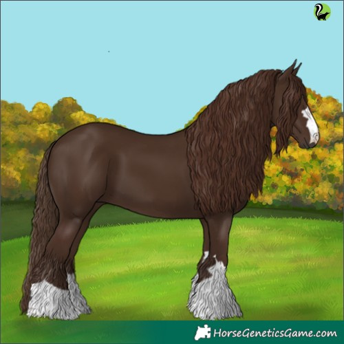 Horse Color:Liver Chestnut 