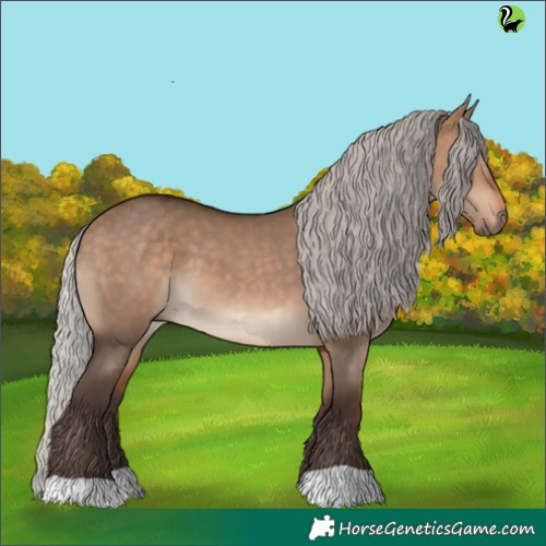 Horse Color:Silver Brown Dun 