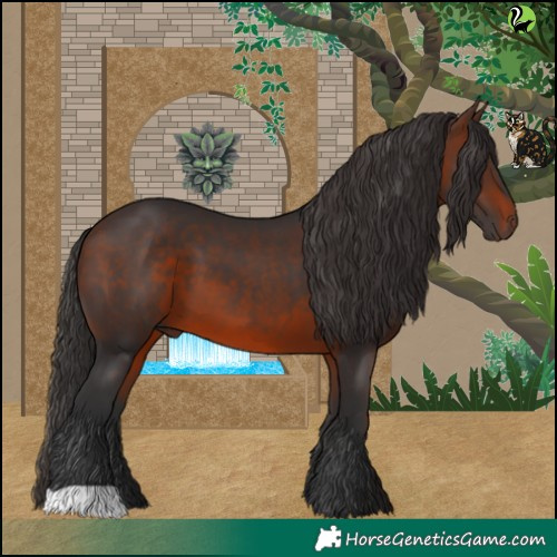 Horse Color:Brown 