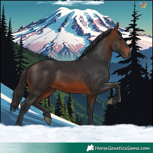 Horse Color:Brown 