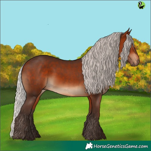 Horse Color:Silver Brown 