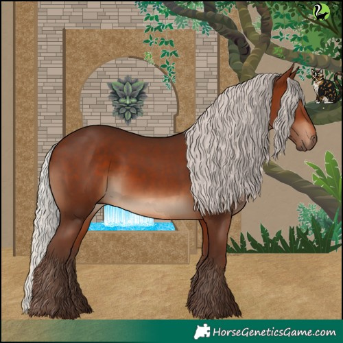 Horse Color:Silver Brown 