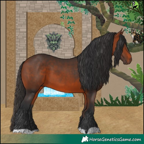 Horse Color:Bay 