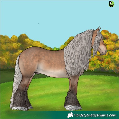 Horse Color:Silver Brown Dun 
