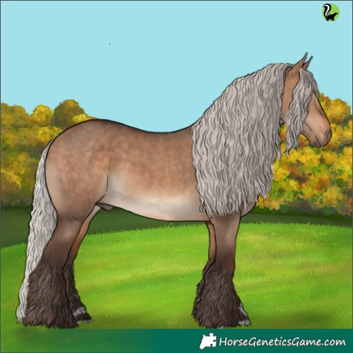 Horse Color:Silver Brown Dun 