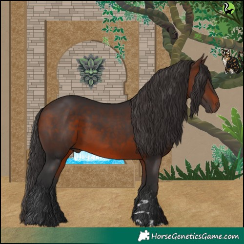 Horse Color:Brown 