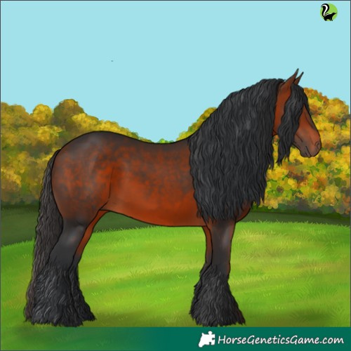 Horse Color:Brown 
