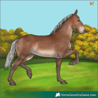 Horse Color:Silver Bay 